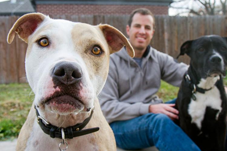 Helping pitbulls like these two friendly dogs is key to achieving no-kill.