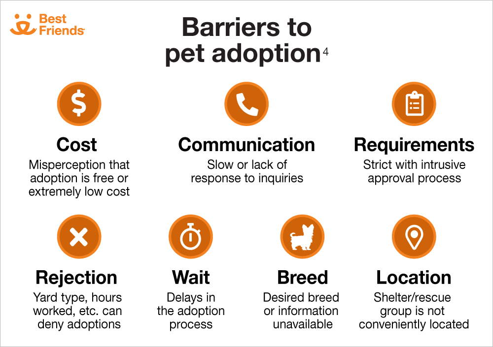 graphic showing barriers to pet adoptin