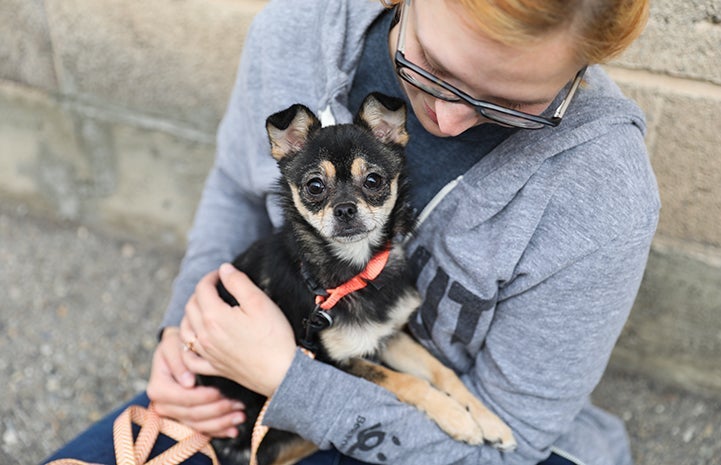 Woman hugging and holding a small black and tan dog in her lap