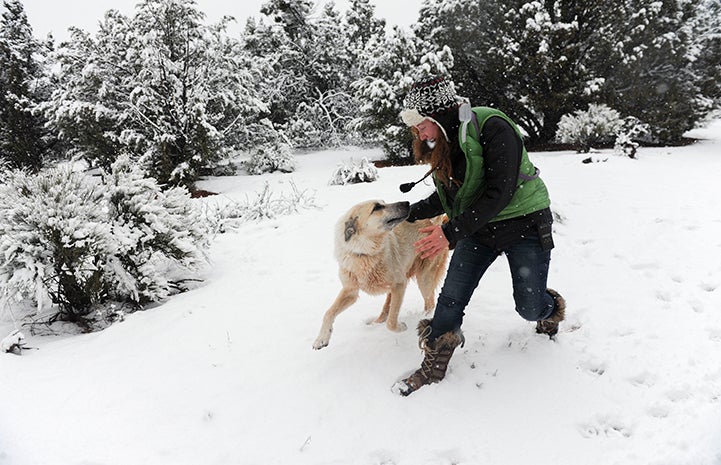 Woman with a great pyrenees type dog running together in the snow