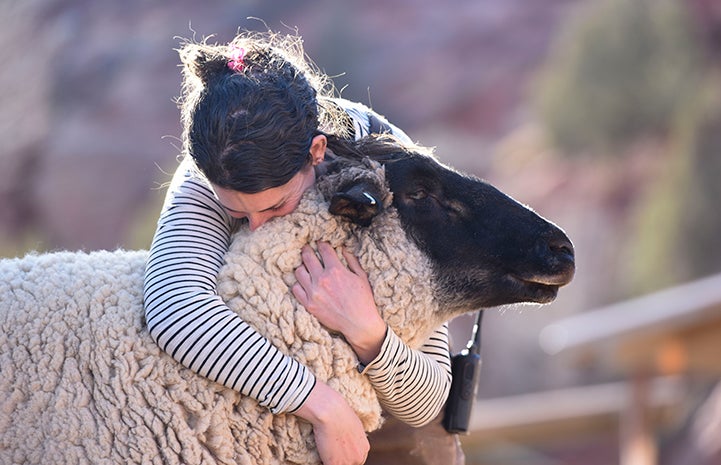 Woman giving a hug to Shaun the sheep
