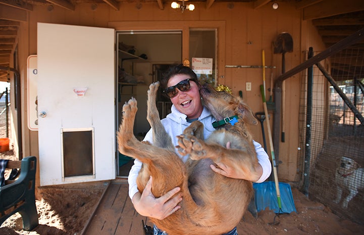 Laughing woman wearing sunglasses holding a brown dog who is licking her face