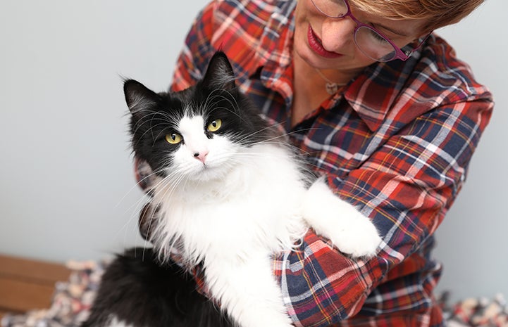 Woman in a plaid shirt holding a black and white, medium hair cat, who is looking at the camera