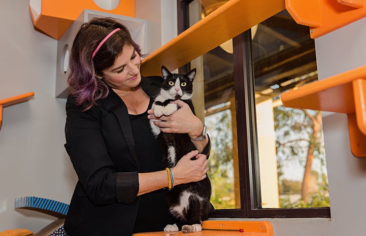 Woman holding black and white cat in a room that is surrounded with lots of orange shelves