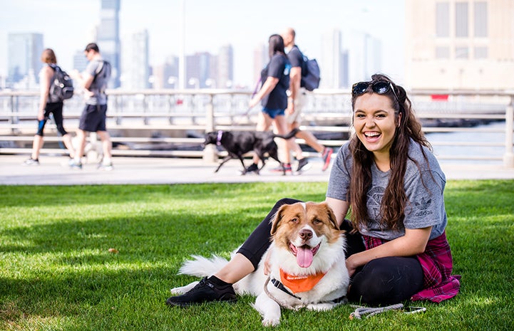 Smiling woman sitting on the grass with a fuzzy brown and white dog in front of a city skyline