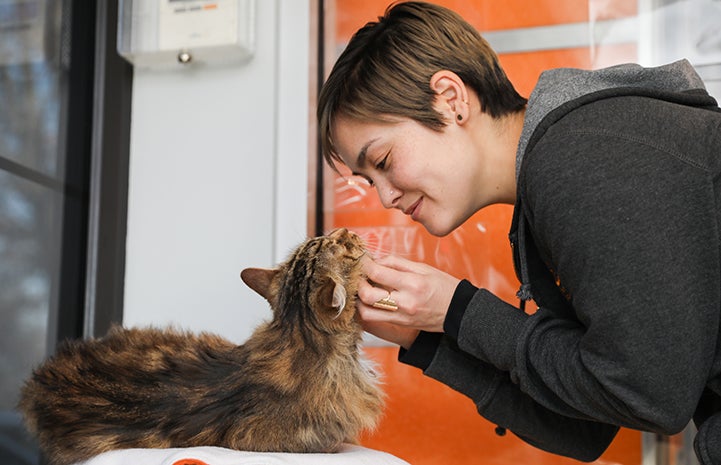 Woman wearing hooded sweatshirt bending down to pet the chin of a medium hair brown tabby cat