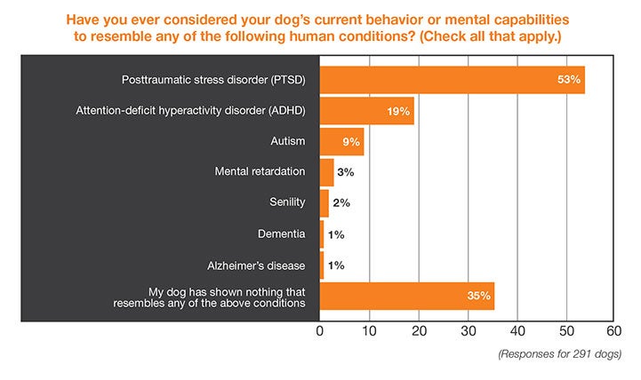 Chart: Have you ever considered your dog’s current behavior or mental capabilities to resemble any of the following human conditions?