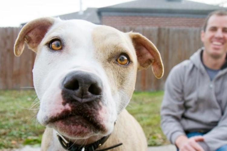 This man and his pitbull dog live in a state that doesn't have BSL.
