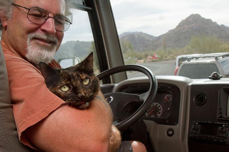 Calico with pet transport driver