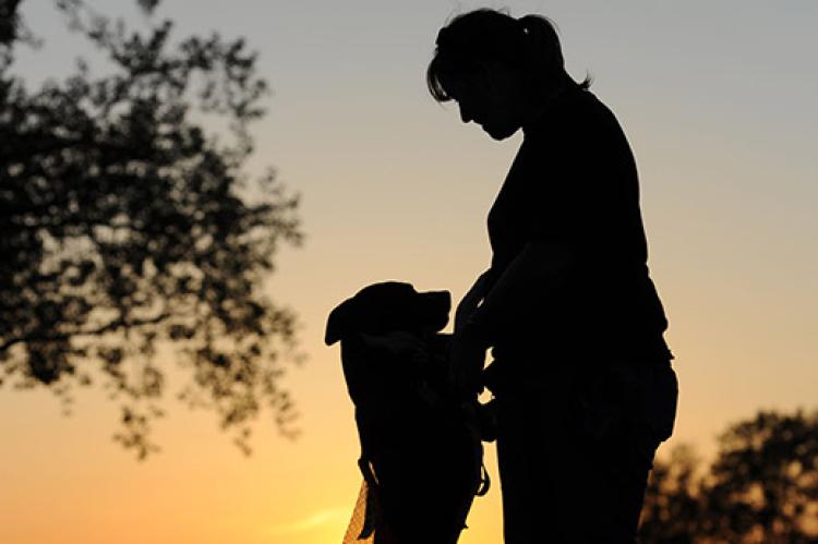 Silhouette of pitbull dog and his person, a woman serving in the military