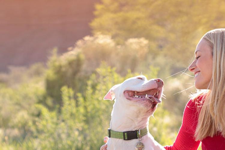 White pitbull and his person, a young woman. Get info about the breed on pitbull websites listed in this resource.