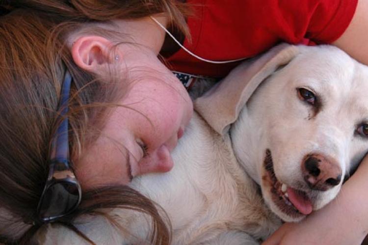 Girl with her family's foster care dog, a white Labrador Retriever mix