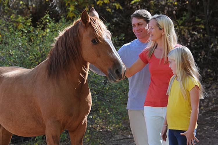 family standing next to a brown horse 