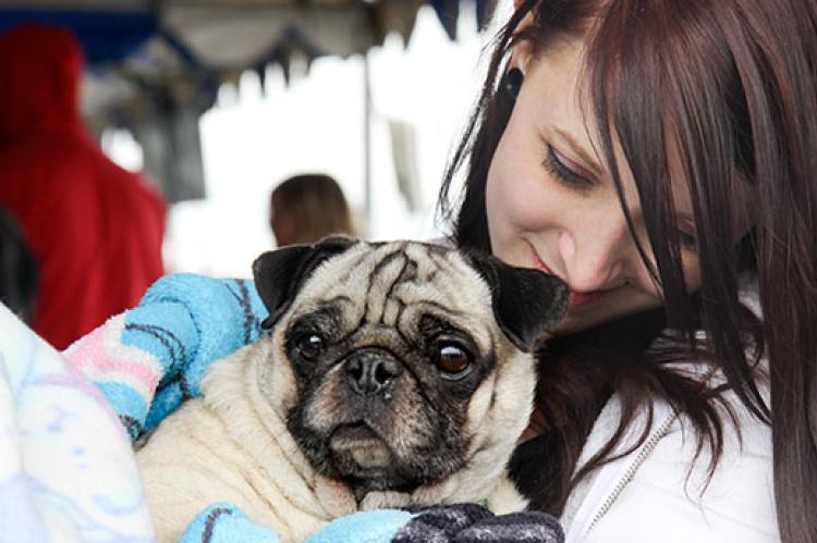 person, who is receiving some pet financial assistance during a difficult time in her life, with her pug