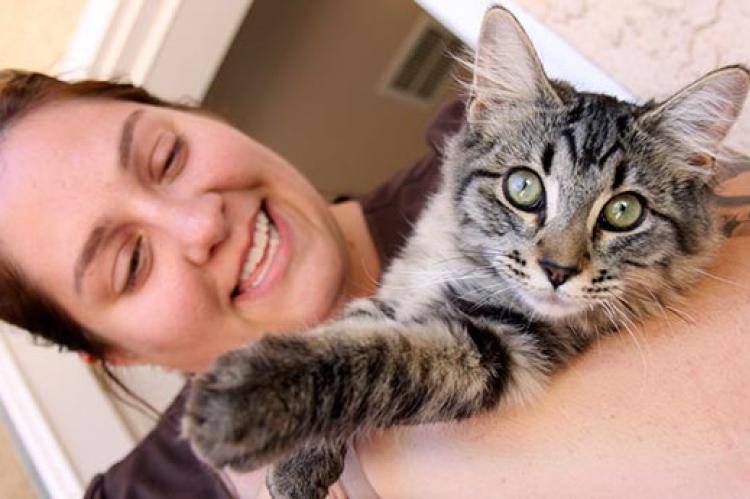 Woman holding her tabby cat with liver disease (feline hepatic lipidosis)