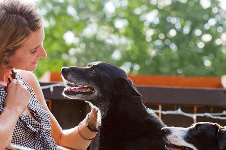 Black senior dog who was in the shelter before being pulled by a breed-specific rescue group and then adopted by woman in photo
