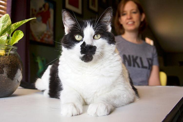 Black and white cat sitting on a table in front of a woman wearing an NKLA T-shirt