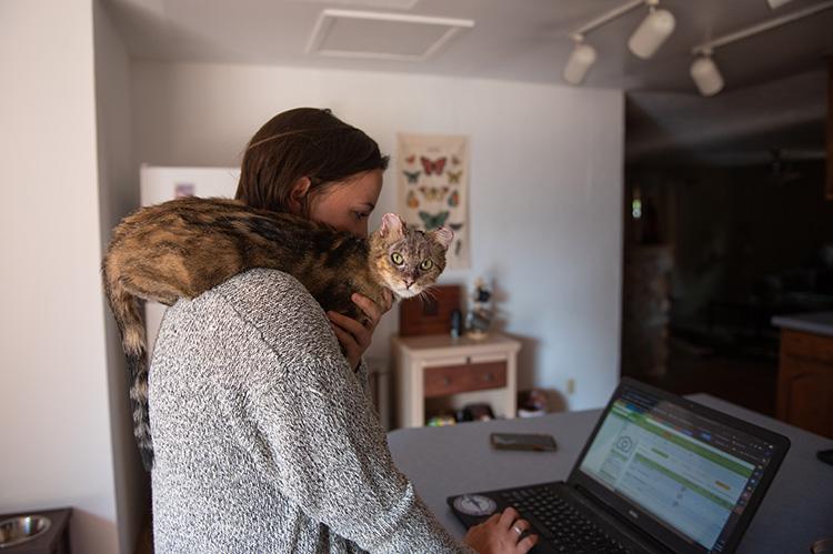 Cat sitting on a person's shoulder who is working on a laptop computer