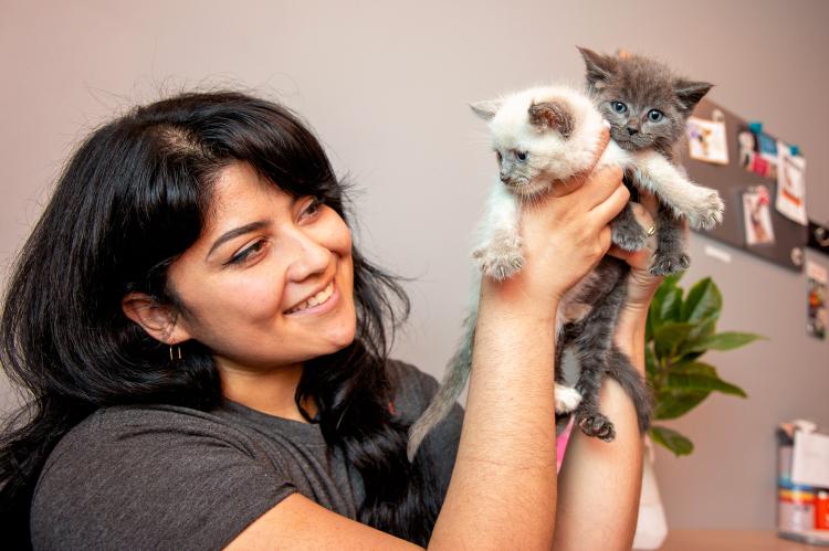 Smiling person holding two kittens up