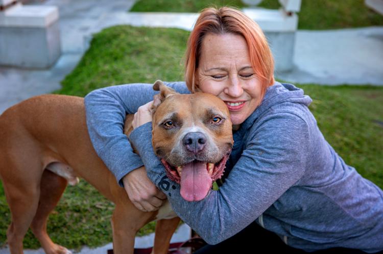 Person hugging a happy brown pit bull terrier