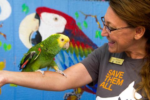 Caregiver holding Little Feather the parrot