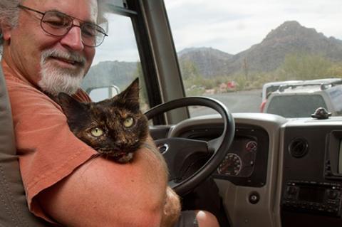Calico with pet transport driver