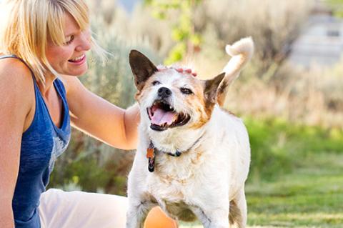 woman considering picking a pet dog during a meet and greet outside with a smiling white-and-brown dog 