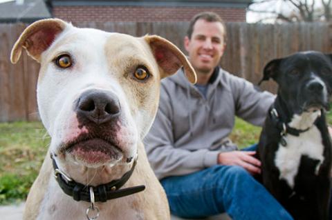 Helping pitbulls like these two friendly dogs is key to achieving no-kill.