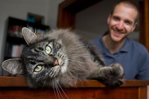 Man with his longhair gray tabby foster cat