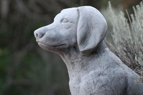 Stone dog statue commemorating life of faithful dog. The loss of a pet is difficult.