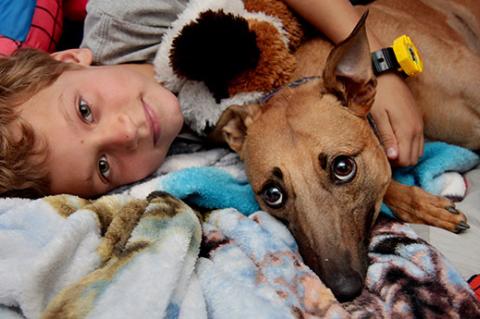 Girl and her dog in bed. There are kids and pets considerations to keep everyone safe and happy.