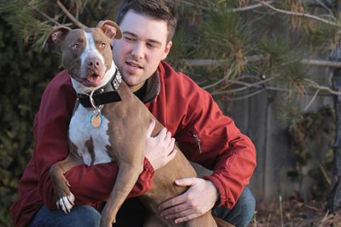 person holding a brown-and-white pit bull terrier-type dog, a dog type that is often the victim of breed-specific legislation
