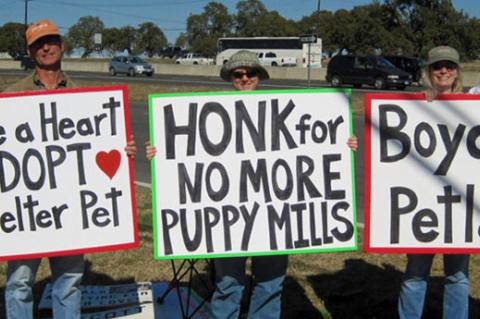Peaceful pet store demonstrators, holding signs to adopt a pet and stop puppy mills.