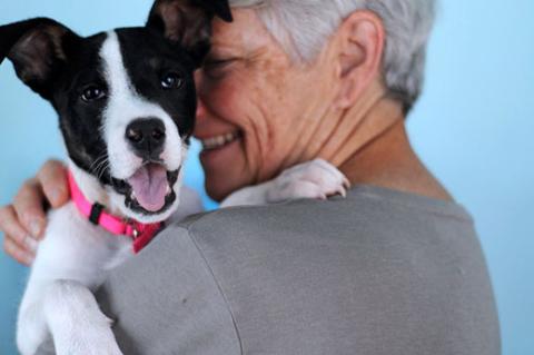 person holding a smiling white-and-black puppy up on the person's shoulder
