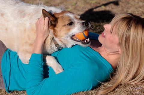 Woman and her dog with ball. She is keeping him safe by supervising his play time.