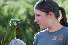Parrot behavior and training with Templeton and Melissa