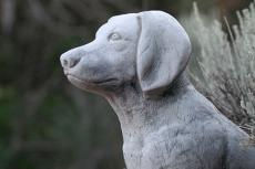 side profile of a stone dog statue that was put up in memory after pet loss