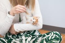 Woman sitting on the floor cradling an orange and white kitten in her arms